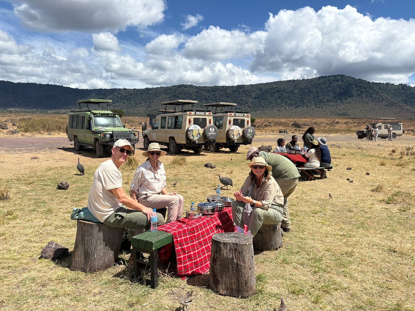Tourists on safari